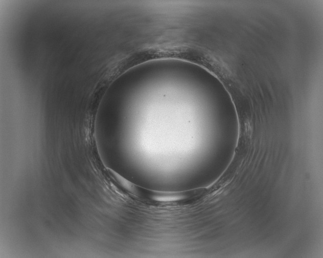 X0000070871300200606191332