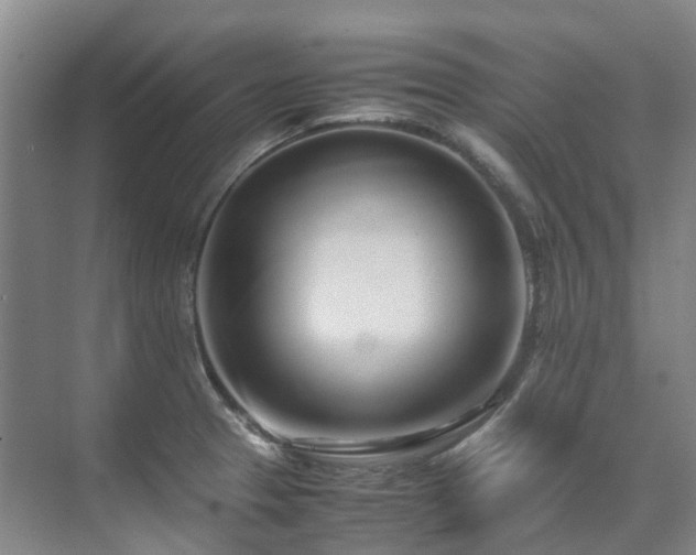 X0000070871329200606191332