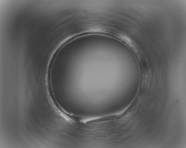 X0000070871331200606191332