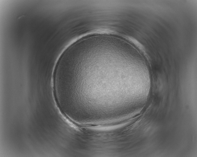 X0000070871335200606191332
