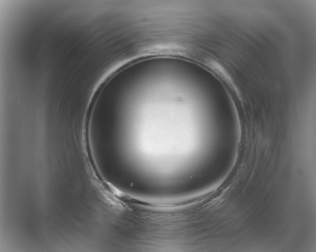 X0000070871336200606191332