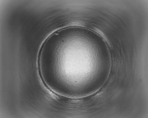 X0000070871339200606191332