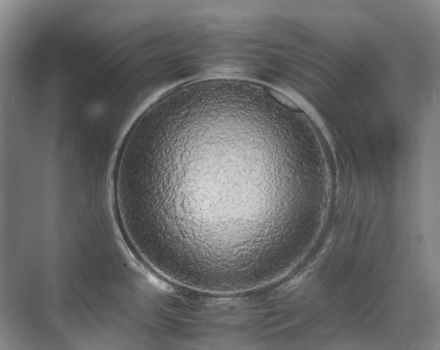 X0000070871341200606191332
