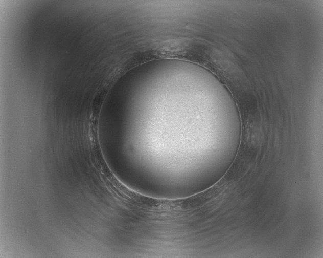 X0000070871346200606191332