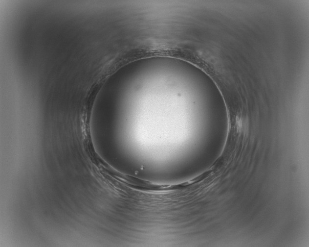 X0000070871348200606191332