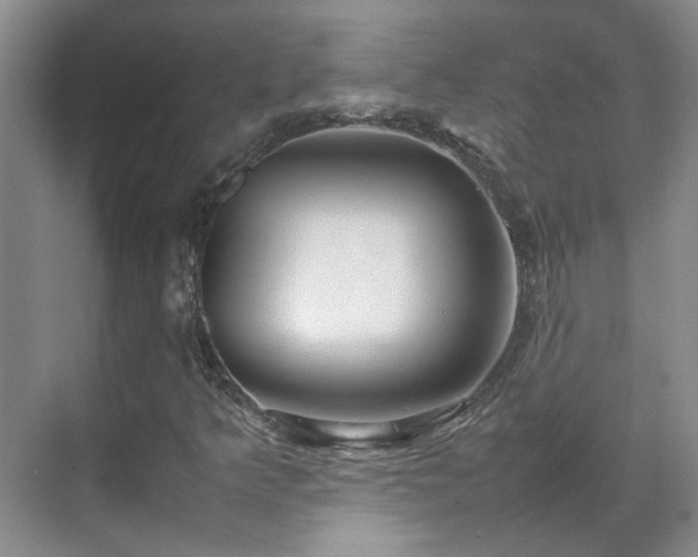 X0000070871349200606191332