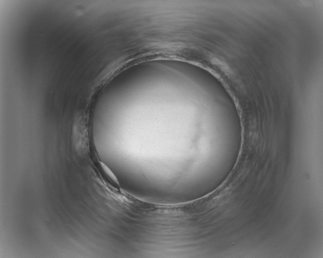 X0000070871354200606191331