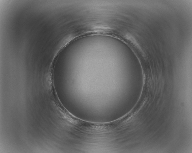 X0000070871362200606191331