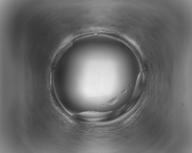 X0000070871365200606191331