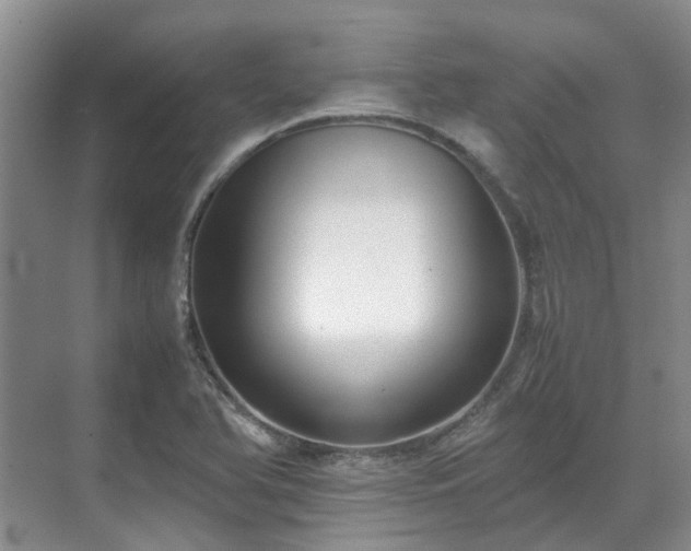 X0000070871366200606191331