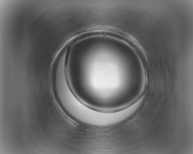 X0000070871368200606191331