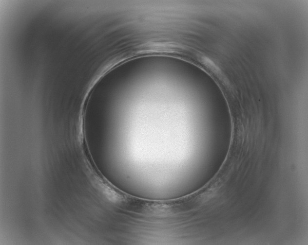X0000070871370200606191331