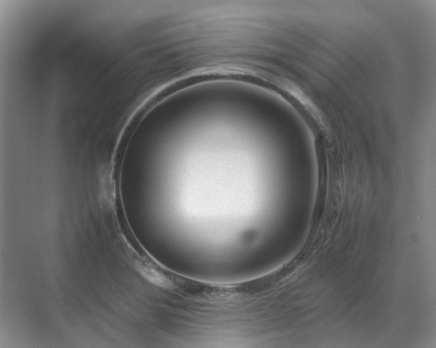 X0000070871372200606191331