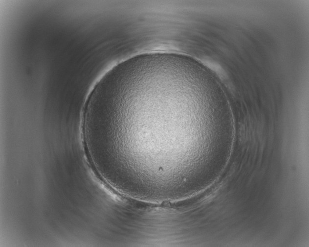 X0000070871374200606191331