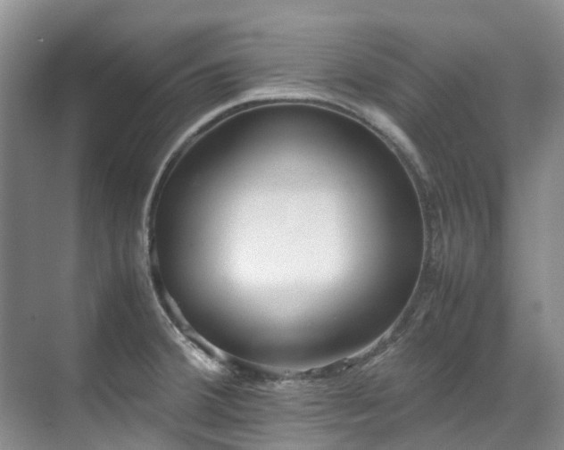 X0000070871380200606191331