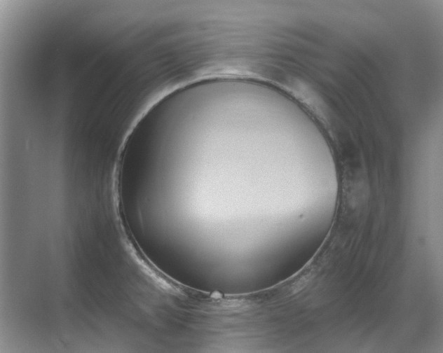 X0000070871382200606191331