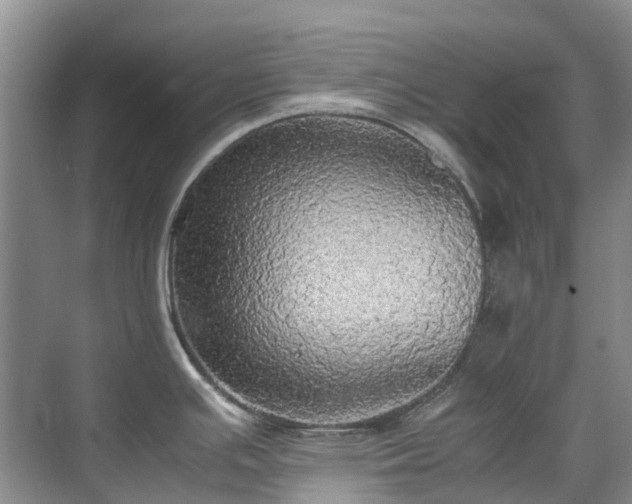 X0000070871391200606191331