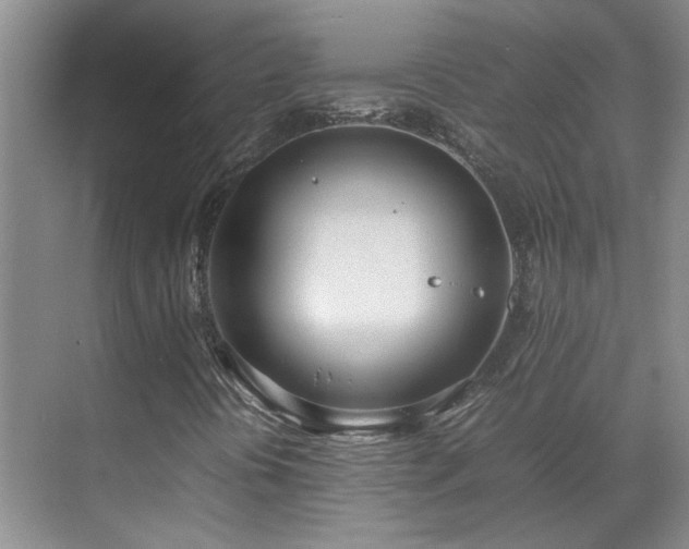 X0000070871394200606191330
