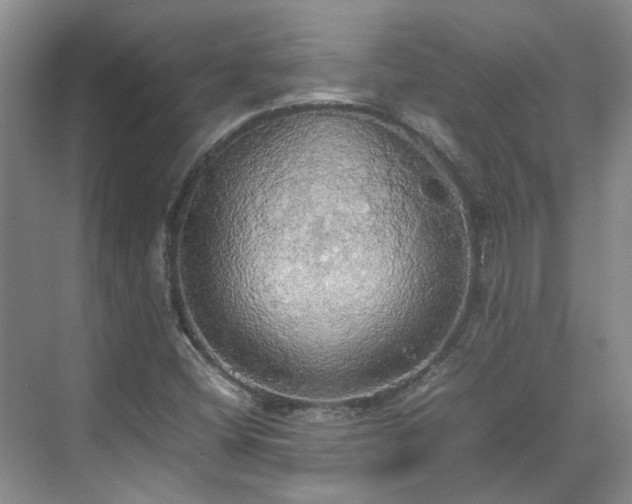 X0000070871404200606191330