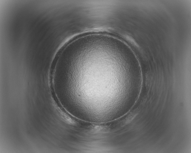 X0000070871412200606191330