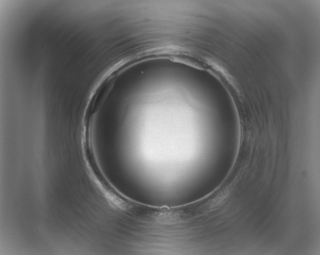 X0000070871418200606191330