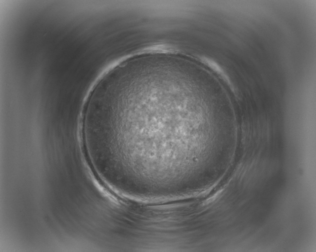 X0000070871421200606191330