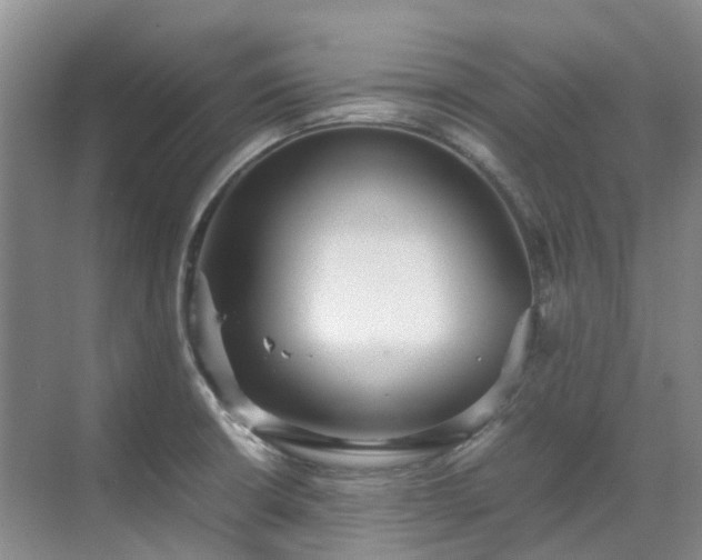 X0000070871426200606191331