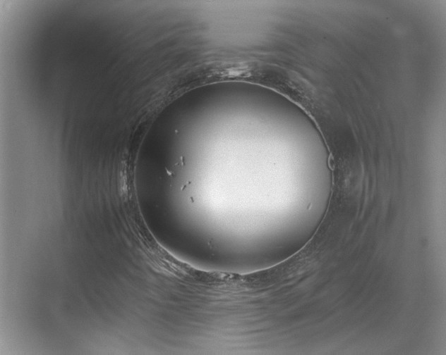 X0000070871442200606191330