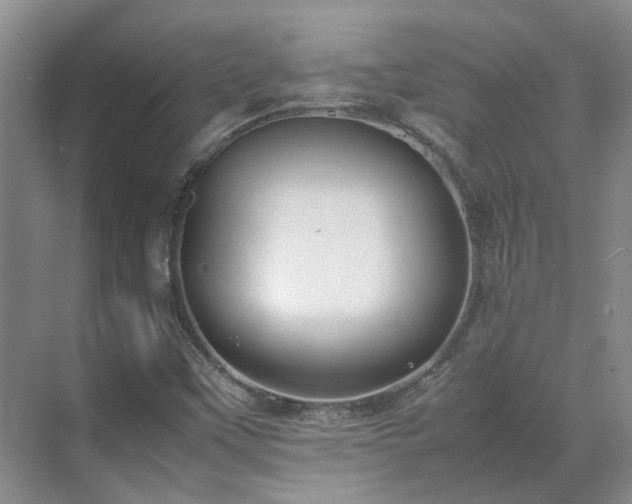 X0000070871451200606191330