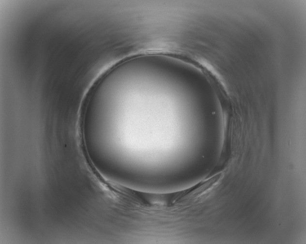 X0000070871469200606191330