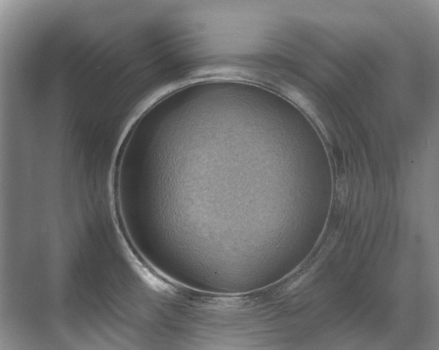 X0000070871482200606191329
