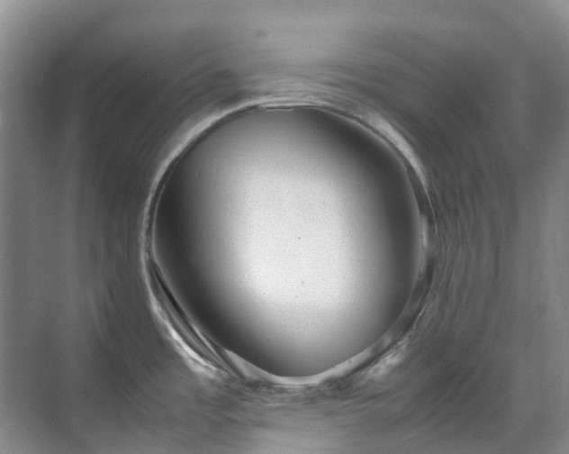 X0000070871485200606191329