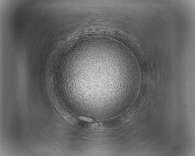 X0000070871489200606191328