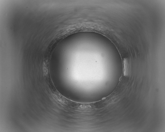 X0000070871491200606191328