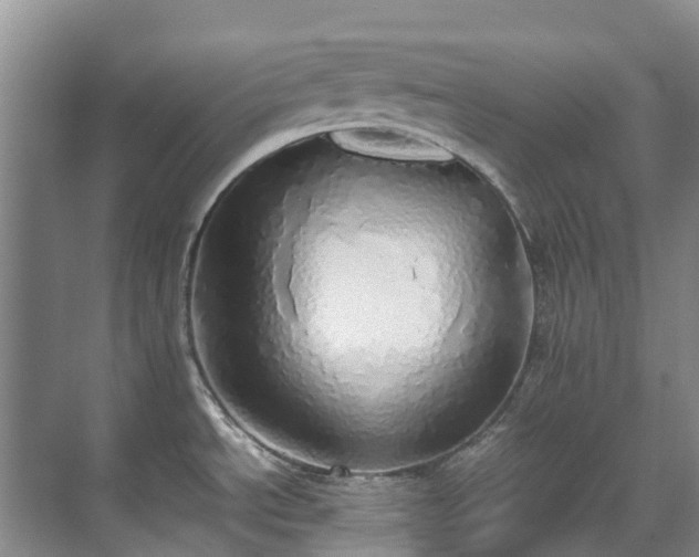 X0000070871534200606191329
