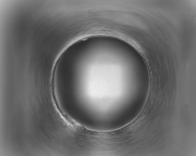 X0000070871536200606191329