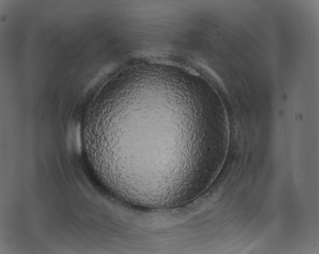 X0000070870020200606231329