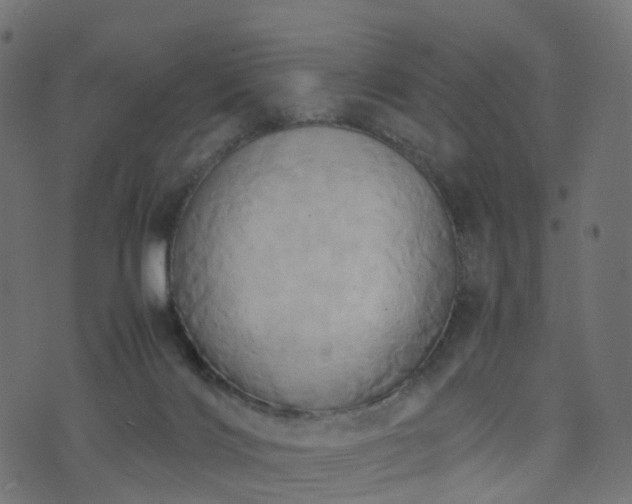 X0000070870028200606231329