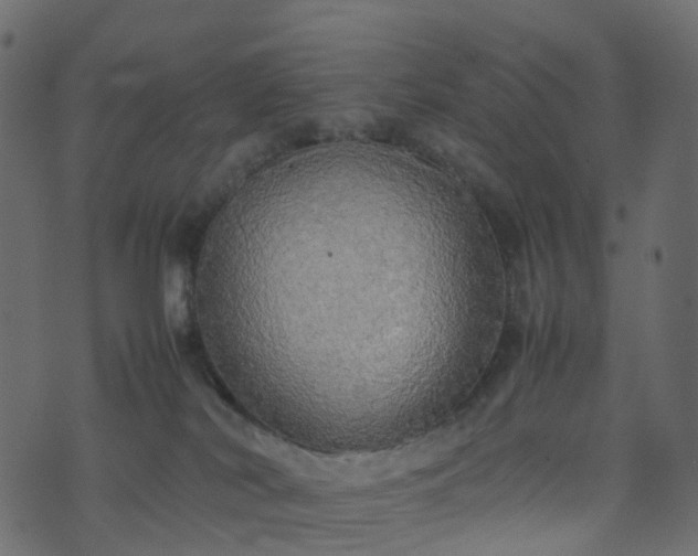X0000070870038200606231329
