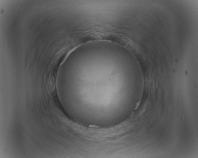X0000070870043200606231329