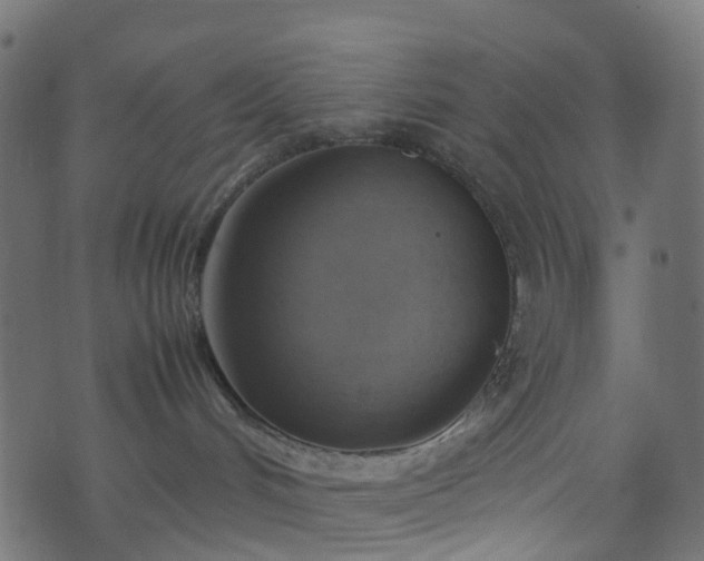 X0000070870048200606231329