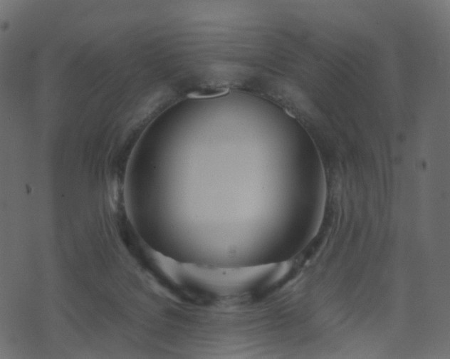 X0000070870076200606231328