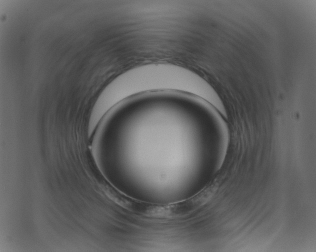 X0000070870084200606231328