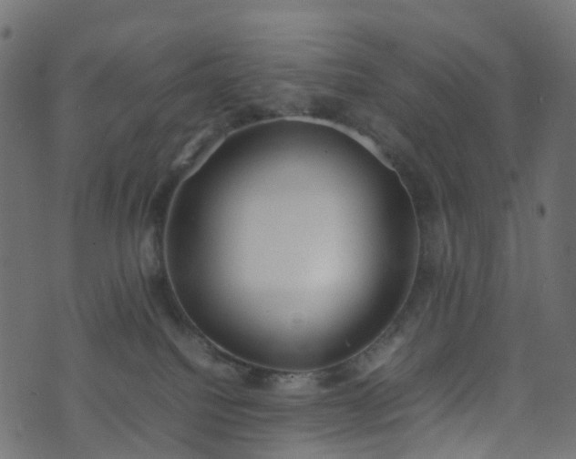 X0000070870088200606231328