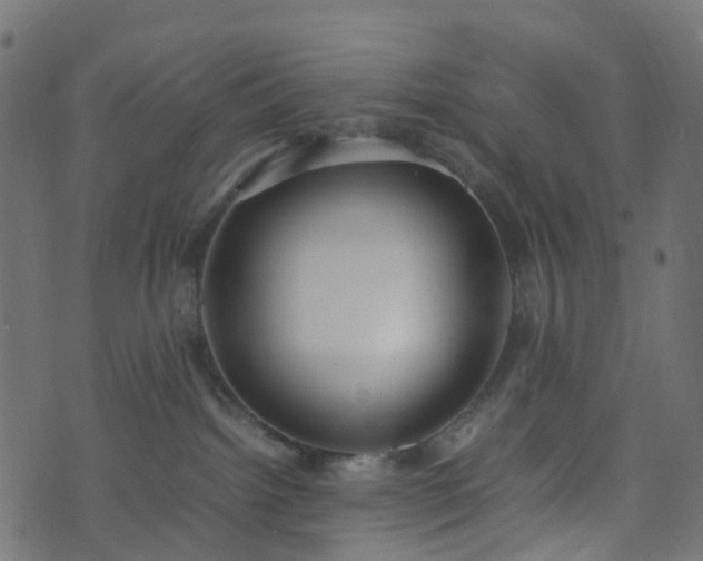 X0000070870092200606231328