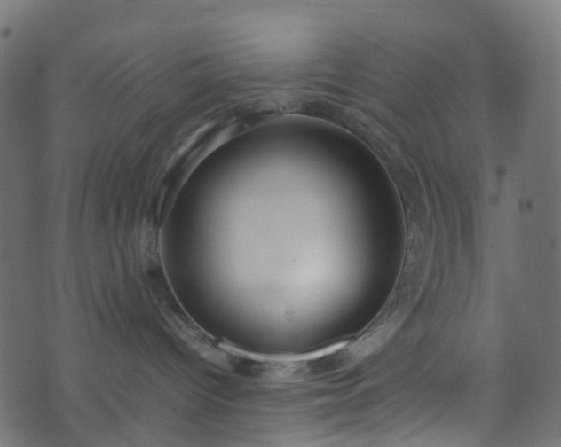 X0000070870096200606231329