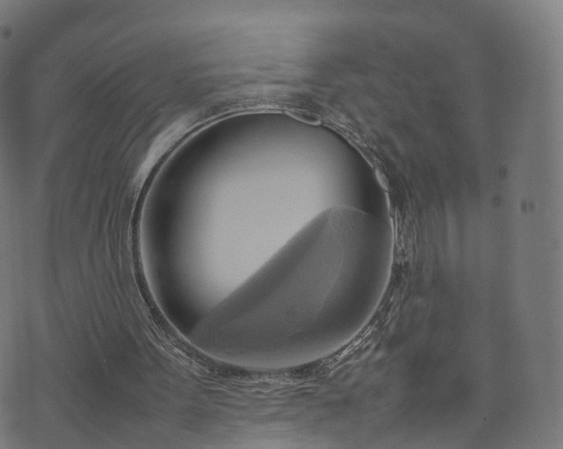 X0000070870099200606231328