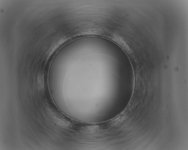 X0000070870108200606231328