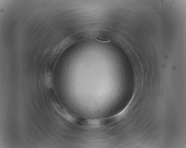X0000070870144200606231327