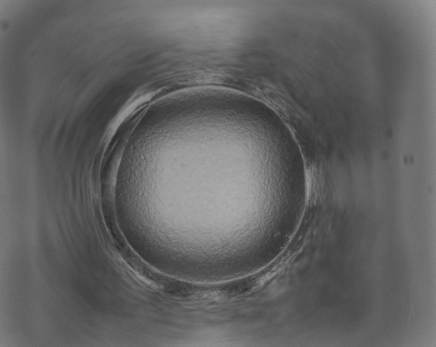 X0000070870195200606231326